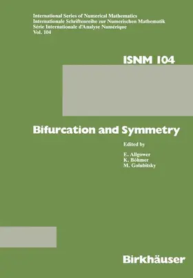 BÖHMER / ALLGOWER / GOLUBITSKY |  Bifurcation and Symmetry | Buch |  Sack Fachmedien