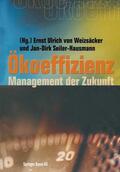 Weizsäcker / Seiler-Hausmann |  Ökoeffizienz | Buch |  Sack Fachmedien