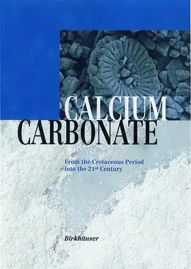 Tegethoff |  Calcium Carbonate | Buch |  Sack Fachmedien