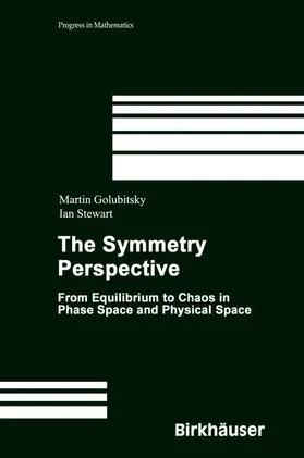 Stewart / Golubitsky |  The Symmetry Perspective | Buch |  Sack Fachmedien