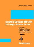 Panza / Pakaleva / Nunziata |  Seismic Ground Motion in Large Urban Areas | Buch |  Sack Fachmedien