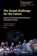 Kaufmann / Lambert |  Grand Challenge for the Future | Buch |  Sack Fachmedien