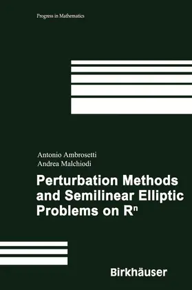 Malchiodi / Ambrosetti |  Perturbation Methods and Semilinear Elliptic Problems on R^n | Buch |  Sack Fachmedien