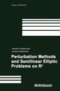 Ambrosetti / Malchiodi |  Malchiodi, A: Perturbation Methods and Semilinear Elliptic P | Buch |  Sack Fachmedien