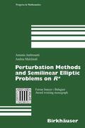 Ambrosetti / Malchiodi |  Perturbation Methods and Semilinear Elliptic Problems on R^n | eBook | Sack Fachmedien