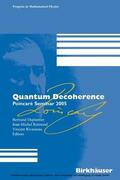 Raimond / Rivasseau |  Quantum Decoherence | eBook | Sack Fachmedien