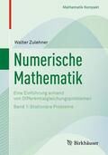 Zulehner |  Numerische Mathematik | Buch |  Sack Fachmedien