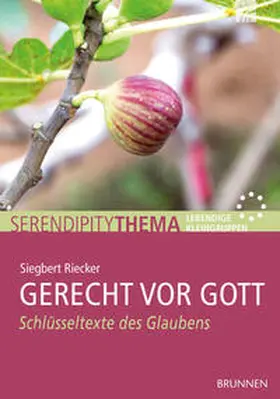 Riecker |  Gerecht vor Gott | Buch |  Sack Fachmedien