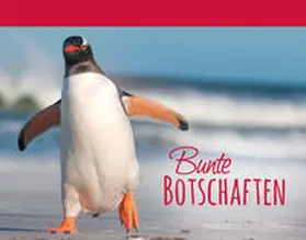 Fröse-Schreer |  Bunte Botschaften 4 | Buch |  Sack Fachmedien