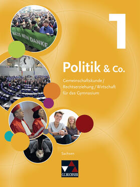 Riedel / Amm / Lother | Politik & Co.  Sachsen Band 1 | Buch | 978-3-7661-6804-7 | sack.de