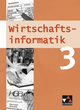 Friedrich / Oltarjow-Mayerlen / Wombacher |  Wirtschaftsinformatik 3 | Buch |  Sack Fachmedien