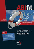 Brandl / Schätz / Ulm |  ABIfit / ABIfit Analytische Geometrie | Buch |  Sack Fachmedien
