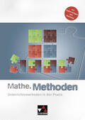 Castelli / Fast / Kleine |  Mathe.Methoden | Buch |  Sack Fachmedien