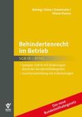 Bolwig / Groskreutz / Hlava |  Behindertenrecht im Betrieb | Buch |  Sack Fachmedien