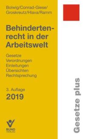 Bolwig / Conrad-Giese / Groskreutz | Behindertenrecht in der Arbeitswelt | Buch | 978-3-7663-6861-4 | sack.de