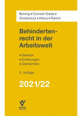 Bolwig / Conrad-Giese / Groskreutz | Behindertenrecht in der Arbeitswelt | Buch | 978-3-7663-6920-8 | sack.de