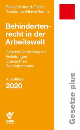 Bolwig / Conrad-Giese / Groskreutz | Behindertenrecht in der Arbeitswelt | Buch | 978-3-7663-6959-8 | sack.de