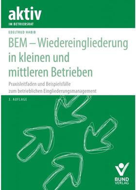 Habib |  BEM - Wiedereingliederung in kleinen und mittleren Betrieben | Buch |  Sack Fachmedien