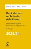 Conrad-Giese / Hlava / Ramm |  Behindertenrecht in der Arbeitswelt 2023/2024 | Buch |  Sack Fachmedien