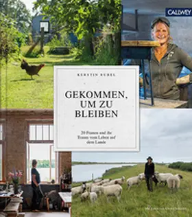 Rubel |  Gekommen, um zu bleiben | eBook | Sack Fachmedien