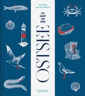 von Waldenfels |  Zu Gast an der Ostsee | Buch |  Sack Fachmedien