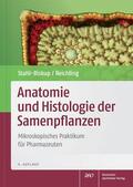 Stahl-Biskup / Reichling |  Anatomie und Histologie der Samenpflanzen | Buch |  Sack Fachmedien