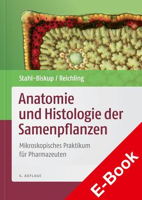 Stahl-Biskup / Reichling | Anatomie und Histologie der Samenpflanzen | E-Book | sack.de