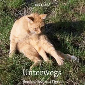 Lübbe |  Unterwegs | Buch |  Sack Fachmedien