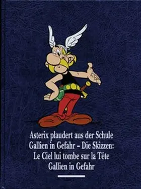 Goscinny / Uderzo / Walz |  Asterix Gesamtausgabe 12 | Buch |  Sack Fachmedien