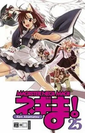 Akamatsu |  Negima! Magister Negi Magi 25 | Buch |  Sack Fachmedien