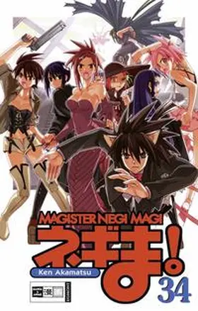 Akamatsu |  Negima! Magister Negi Magi 34 | Buch |  Sack Fachmedien
