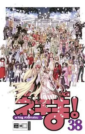 Akamatsu |  Negima! Magister Negi Magi 38 | Buch |  Sack Fachmedien
