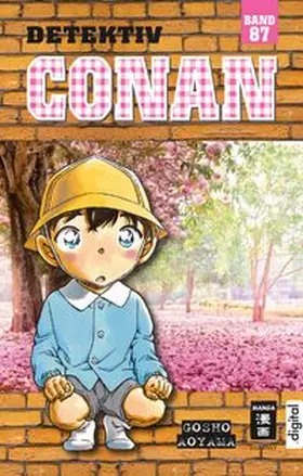 Aoyama | Detektiv Conan 87 | E-Book | www.sack.de