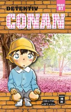 Aoyama |  Detektiv Conan 87 | Buch |  Sack Fachmedien