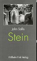 Sallis |  Stein | Buch |  Sack Fachmedien