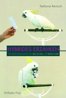 Rentsch |  Hybrides Erzählen | Buch |  Sack Fachmedien