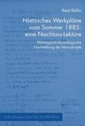 Röllin |  Nietzsches Werkpläne vom Sommer 1885: eine Nachlass-Lektüre | Buch |  Sack Fachmedien