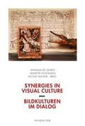 Hoffmann / DeGiorgi / Suthor |  Synergies in Visual Culture / Bildkulturen im Dialog | Buch |  Sack Fachmedien