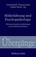 Fuchs / Frohoff / Micali |  Bilderfahrung und Psychopathologie | Buch |  Sack Fachmedien