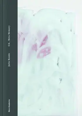 Rondo / Hauff / Akademie |  Julio Rondo - O.k., Meta Memory | Buch |  Sack Fachmedien