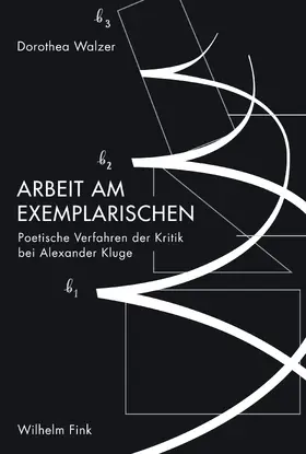 Walzer / Fink |  Arbeit am Exemplarischen | Buch |  Sack Fachmedien