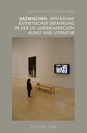 Breitenwischer |  Dazwischen: Spielräume ästhetischer Erfahrung in der US-amerikanischen Kunst und Literatur | Buch |  Sack Fachmedien