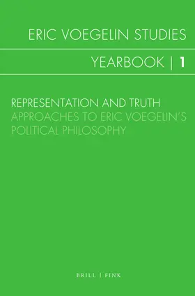 Scotti Muth / Schwaabe |  Representation and Truth | Buch |  Sack Fachmedien