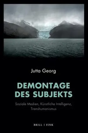 Georg |  Demontage des Subjekts | Buch |  Sack Fachmedien