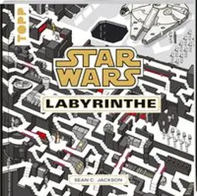  Star Wars Labyrinthe | Buch |  Sack Fachmedien