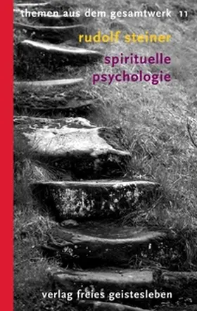 Steiner / Treichler |  Spirituelle Psychologie | Buch |  Sack Fachmedien