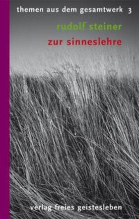 Steiner / Lindenberg | Zur Sinneslehre | Buch | 978-3-7725-2103-4 | sack.de