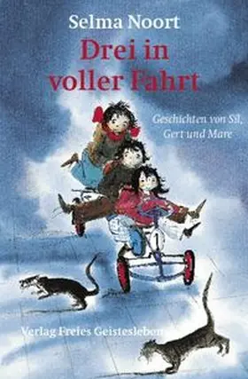 Noort |  Drei in voller Fahrt | Buch |  Sack Fachmedien