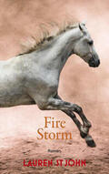 St John |  Fire Storm | Buch |  Sack Fachmedien