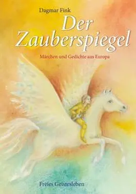 Fink |  Der Zauberspiegel | Buch |  Sack Fachmedien
